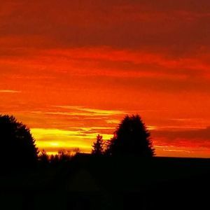 Meet your Posher, Yia